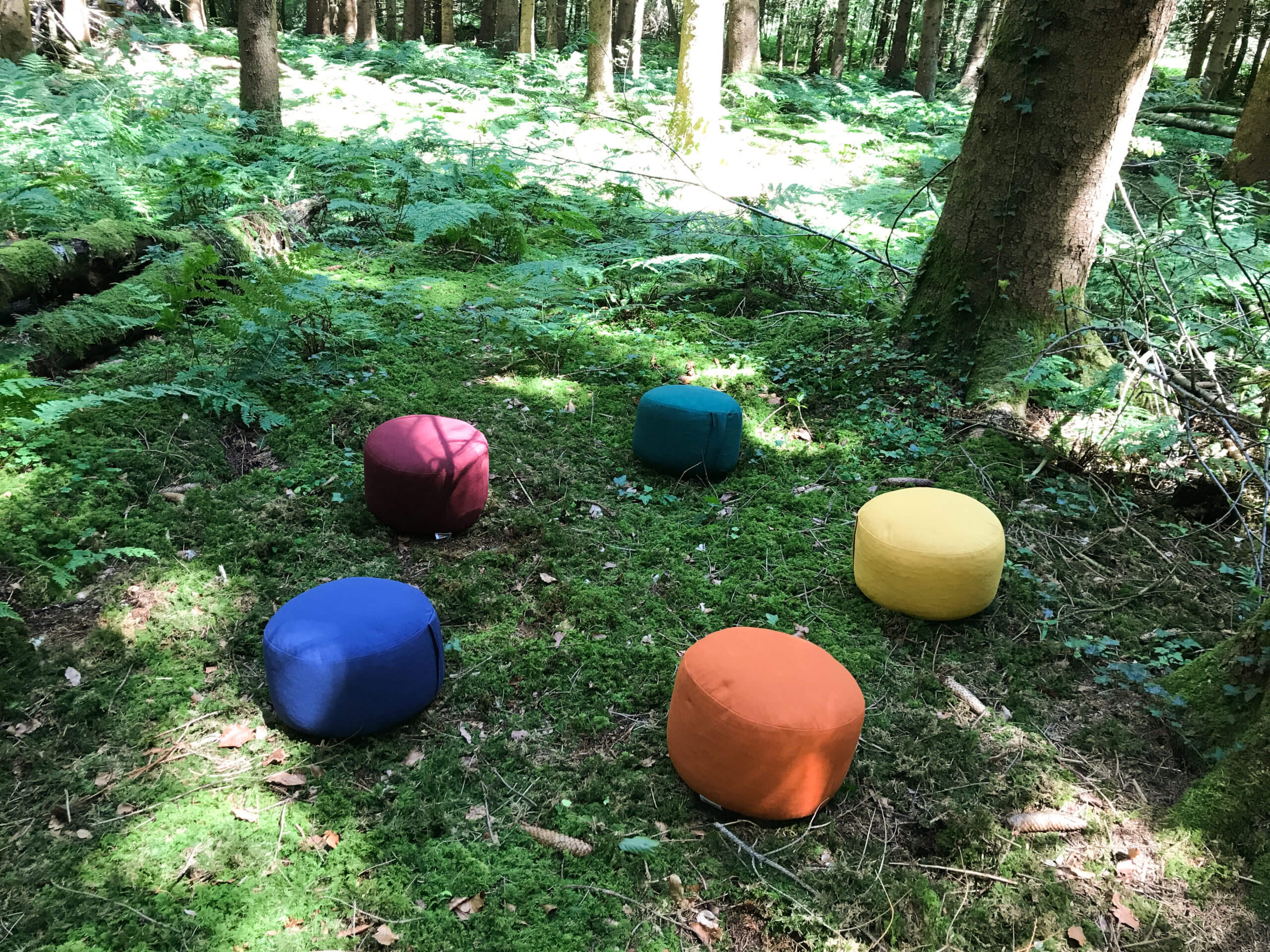 Sitzkreis im Wald