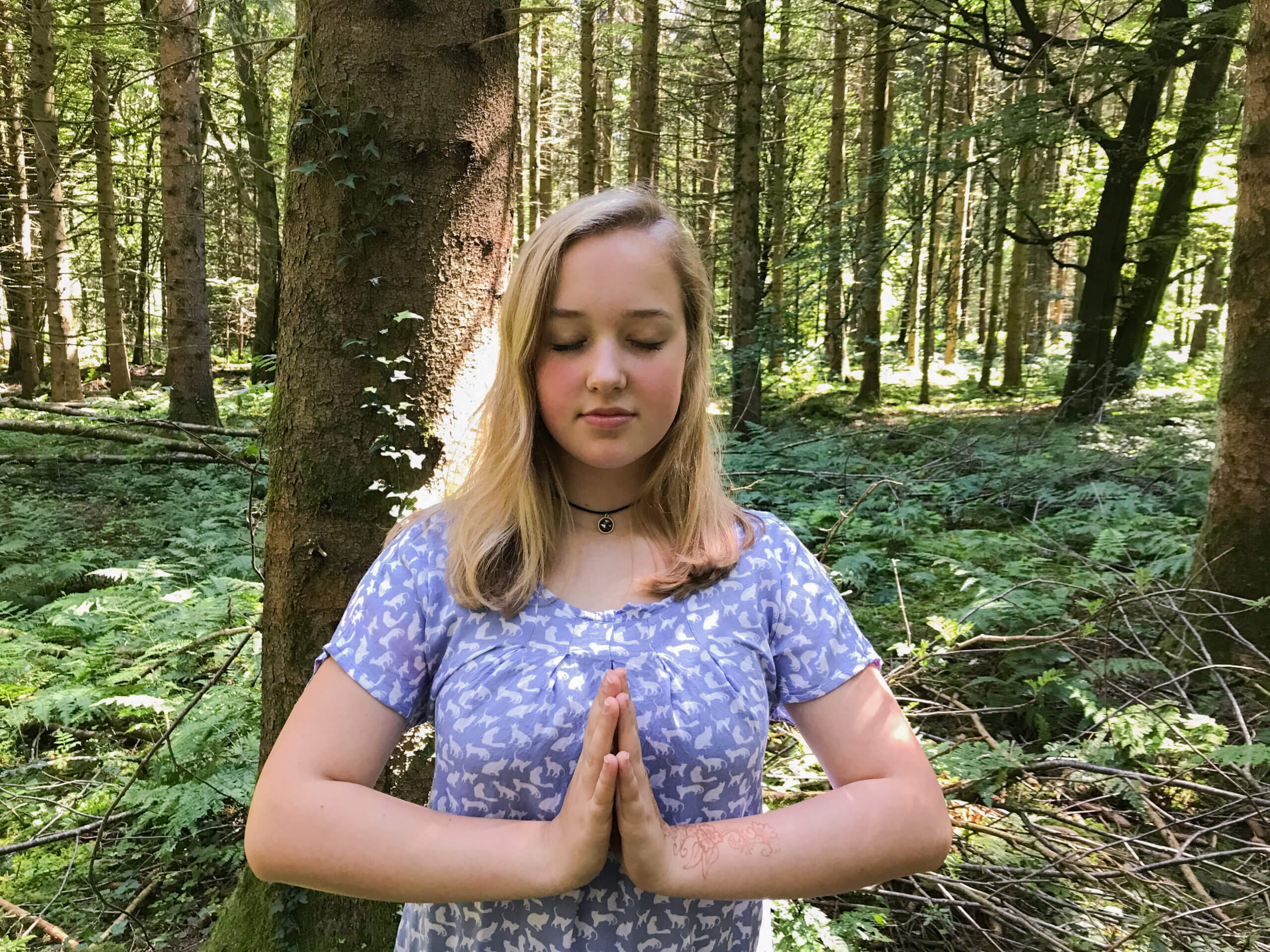 Meditation Wald